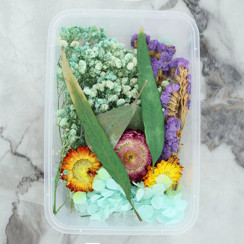 3D Dry Flowers
