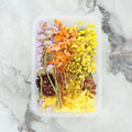 3D Dry Flowers