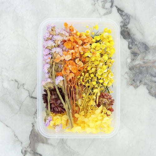 3D Dry Flowers