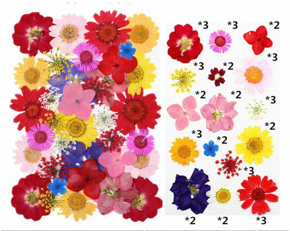 Pressed Flowers